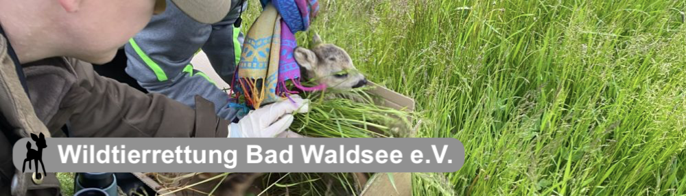 Wildtierrettung Bad Waldsee e.V.